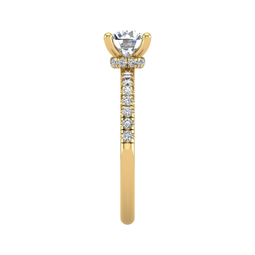 Charlotte Hidden Halo with Pave Band